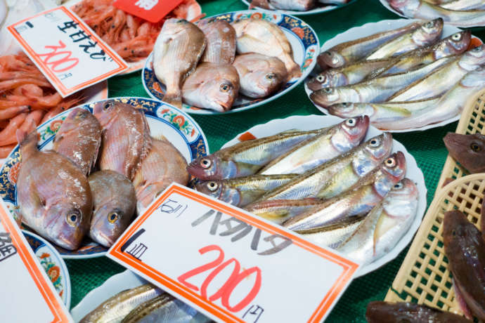 石川県金沢市にある「近江町市場」で売られている白身魚