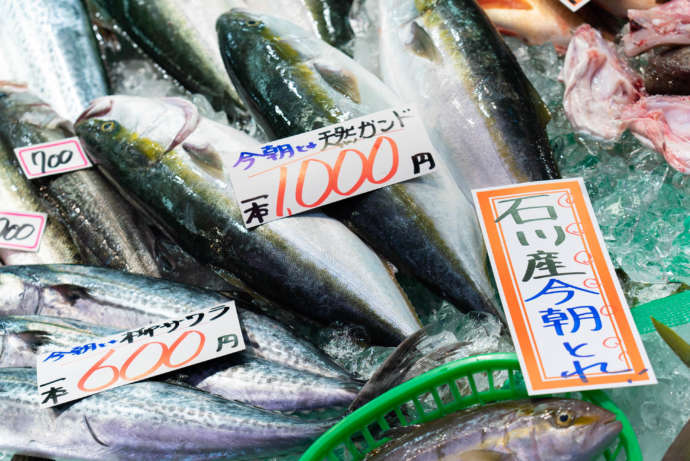 石川県金沢市にある「近江町市場」で売られている新鮮な青魚