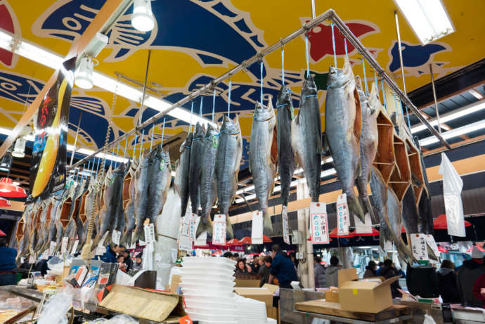 石川県金沢市にある「近江町市場」で吊るし干しにされている鮭