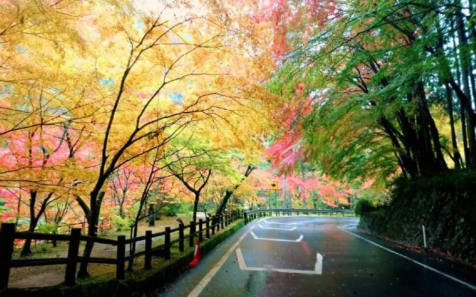 秋の奥津渓の道路と遊歩道