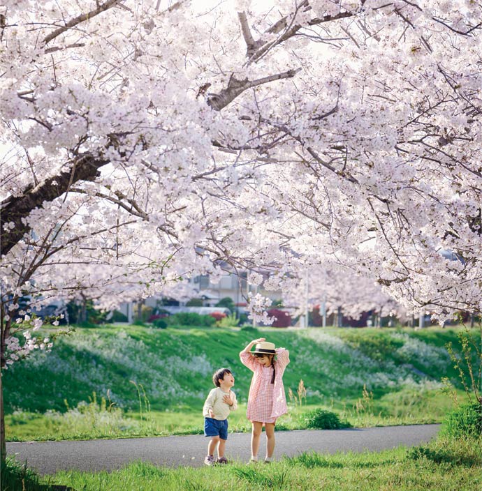 桜の木の下で遊ぶ子ども達