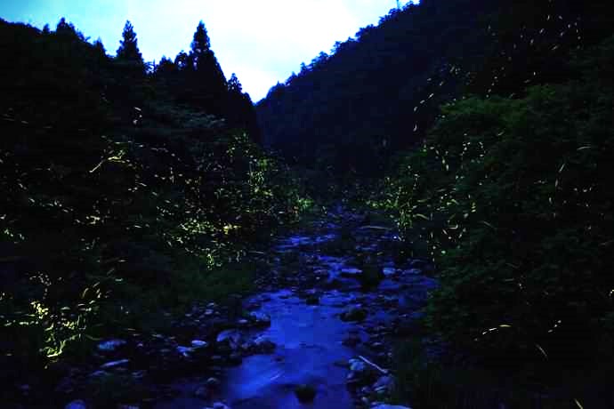 福井県大飯町の名田庄地域にあるホタルの里公園の風景