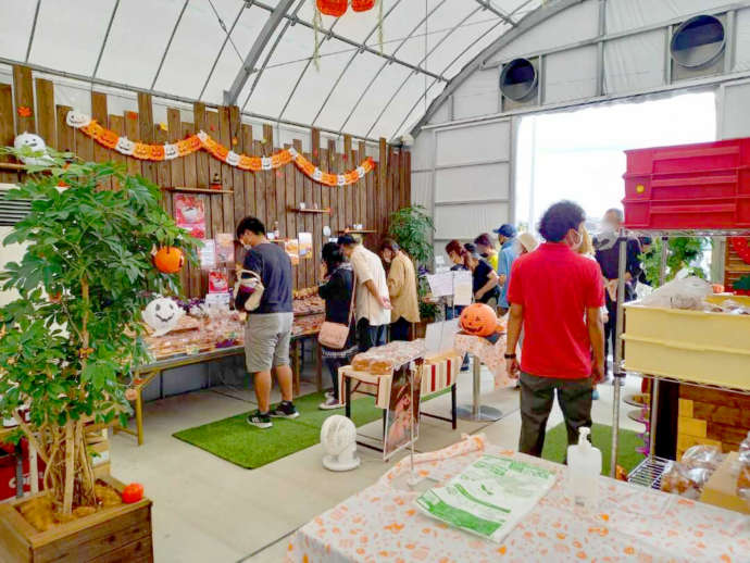 京都府八幡市にある観光農園「おさぜん農園」で行われたパンフェスの様子
