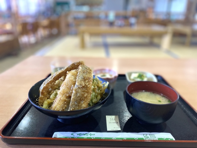 熊本県葦北郡芦北町にある「道の駅たのうら」でいただける太刀魚丼を横から眺める