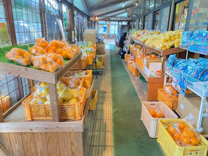 「道の駅たのうら」で販売されている柑橘