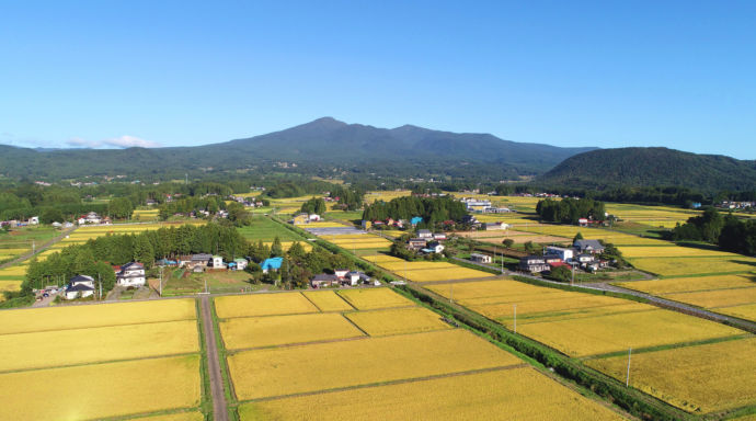 福島県大玉村の秋の田園風景