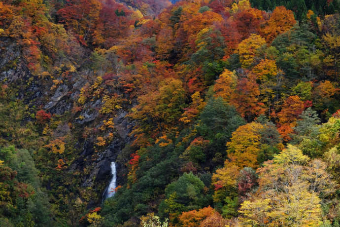 紅葉シーズンの小谷村の雨飾山の景色