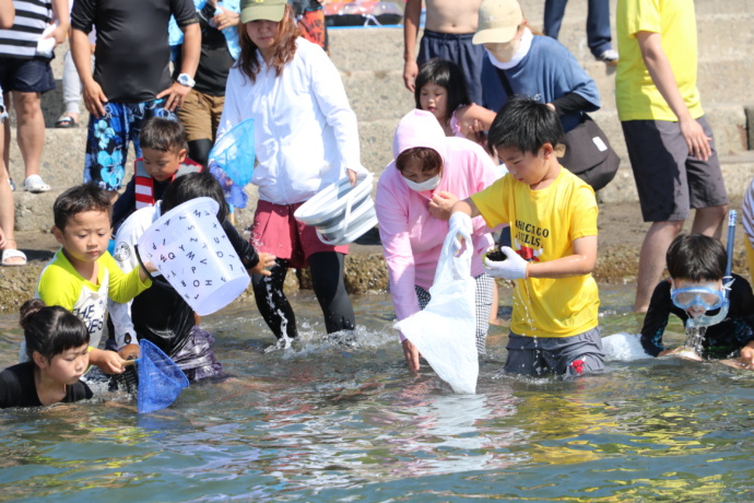 海産物の手づかみ体験をする乙部町の子どもたち