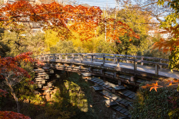 紅葉が美しい猿橋