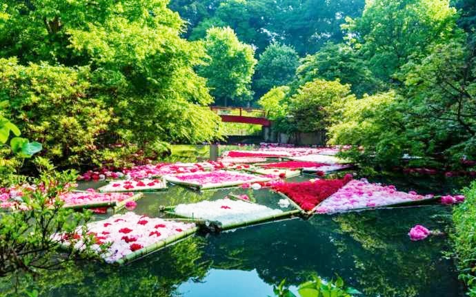 つくば牡丹園（Peony Garden Tokyo）内の池に浮かぶ花いかだ