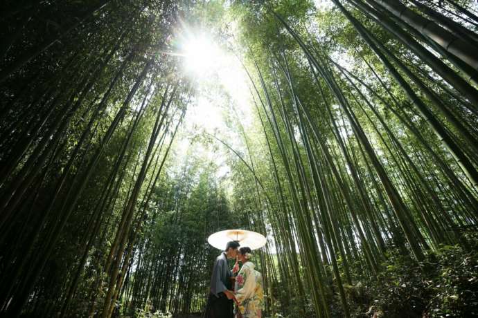 スタジオTVBの大覚寺の竹林でロケーション撮影している様子