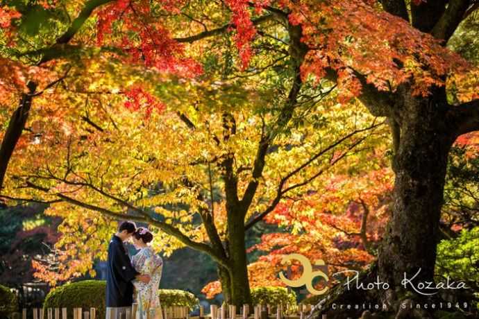 フォトコザカの撮影に臨む兼六園の紅葉の下に佇むカップル