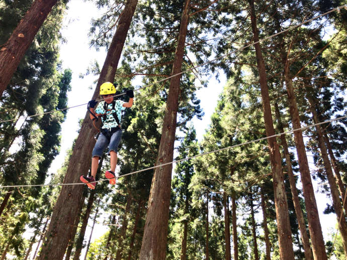 新潟県十日町市の「あてま 森と水辺の教室 ポポラ」で空中アスレチックをする人