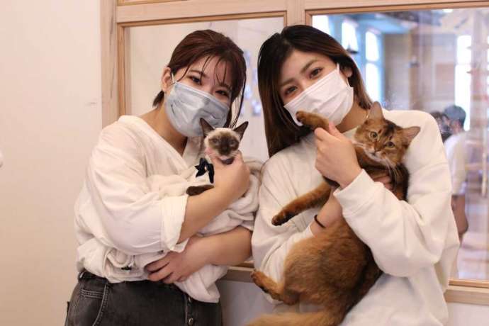 猫を抱きかかえる「猫カフェPuchi Marry 沖縄北谷店」のスタッフ