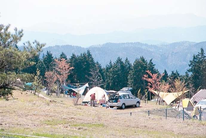 らかん高原オートキャンプ場のテントサイト
