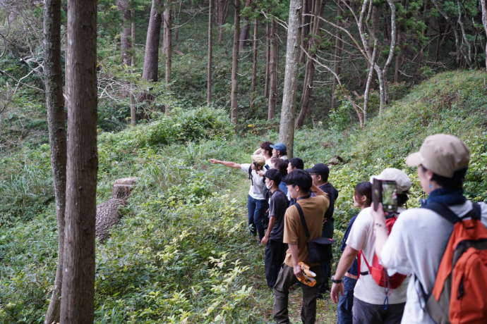 陸前高田市の山でハイキングを楽しむ人々