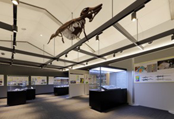 全長約3mの魚竜類・ウタツサウルスの迫力ある原寸大模型