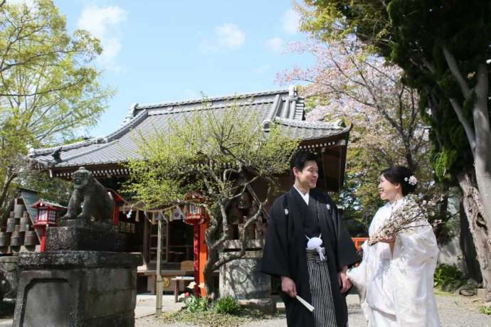桜と一緒に「龍ケ崎 八坂神社」の社殿前で見つめ合う新郎新婦