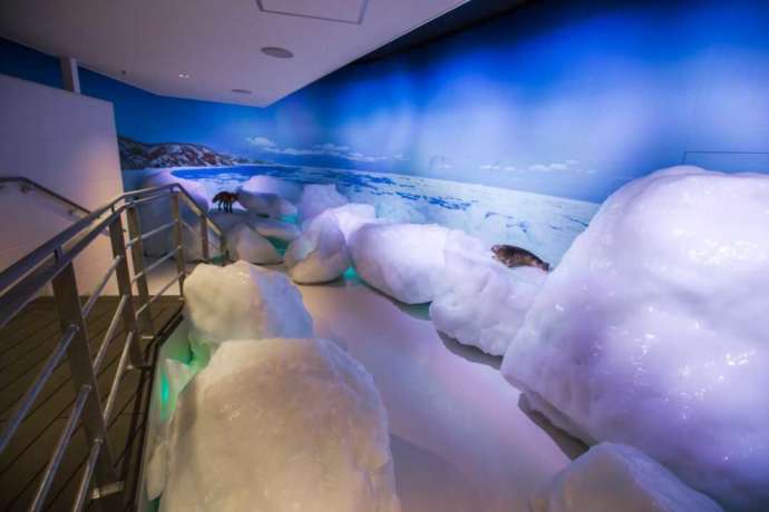 オホーツク流氷館の流氷体験テラスの写真
