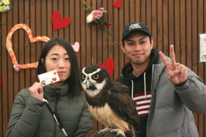 秋吉台自然動物公園サファリランドのフクロウにメッセージを運んでもらったカップル