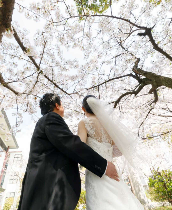 佐嘉神社の境内の桜の下で寄り添う洋装の新郎新婦
