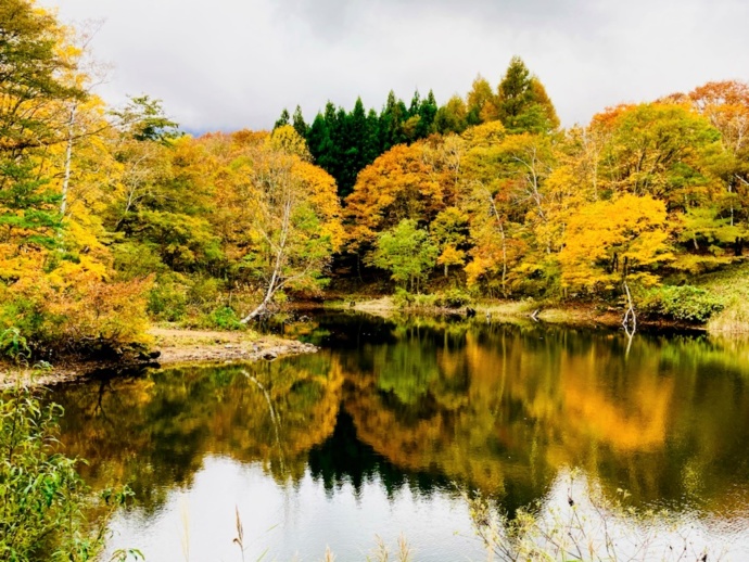 天池の風景