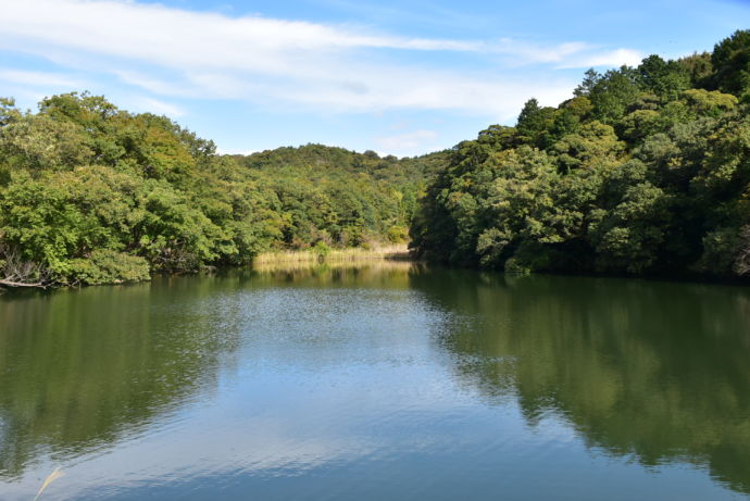 坂祝町にある八幡池の写真
