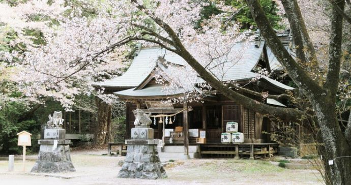 桜の名所で知られる「桜川磯部稲村神社」