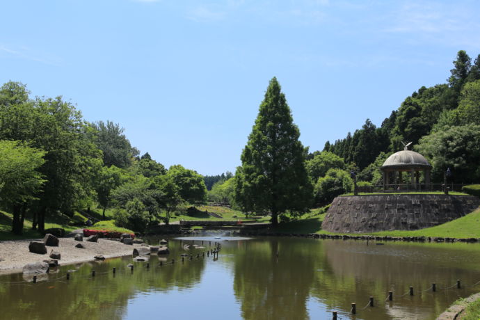 佐倉市にある七井戸公園の新緑