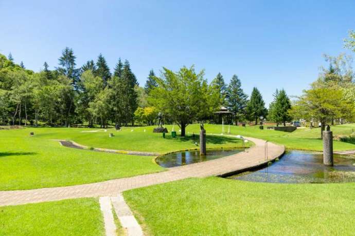 蓼科高原芸術の森彫刻公園の広い敷地を臨んだ写真
