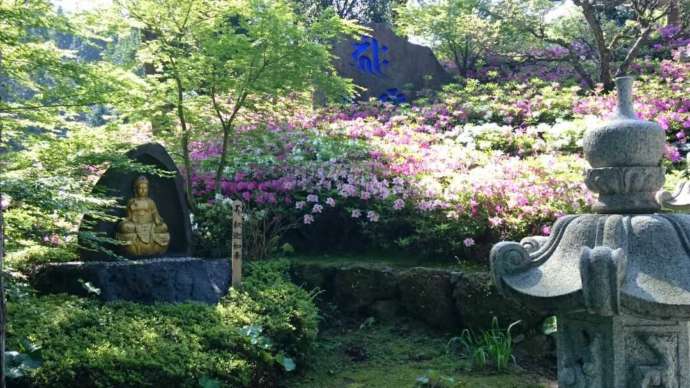 ツツジが咲いた青隆寺の庭