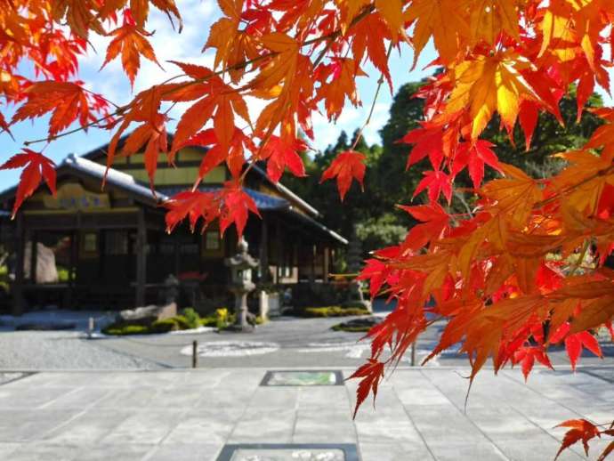 紅葉が美しい青隆寺の庭