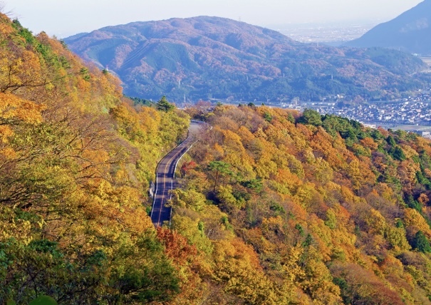 岐阜県関ケ原町に登り口がある、伊吹山ドライブウェイ