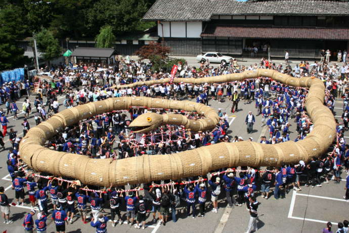 関川村のイベント「大したもん蛇まつり」で大蛇をかつぐ人々