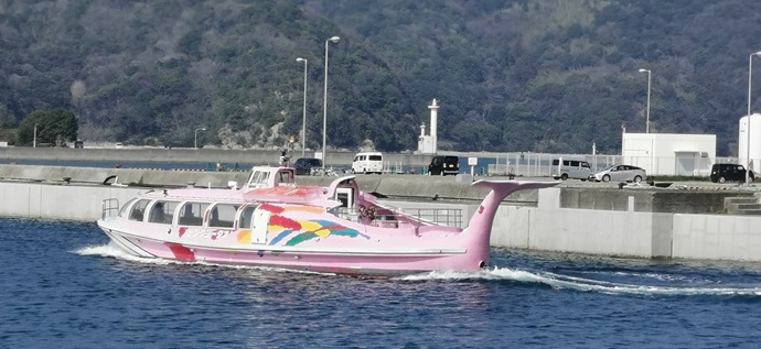 青海島観光汽船「ピンクシータス」