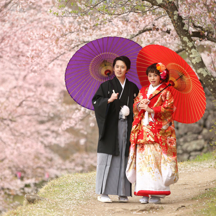 懐古園で桜を背景に撮影した和装でのウェディングフォト