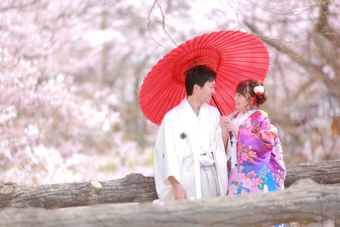 桜を背景に和装で撮影したロケーションフォトの写真