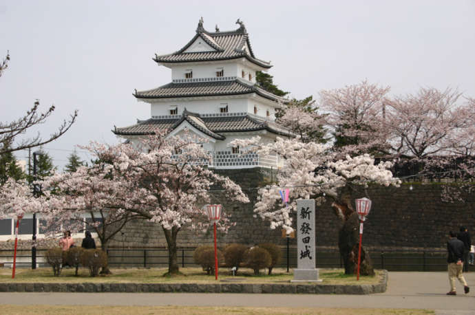 桜の季節の新発田城