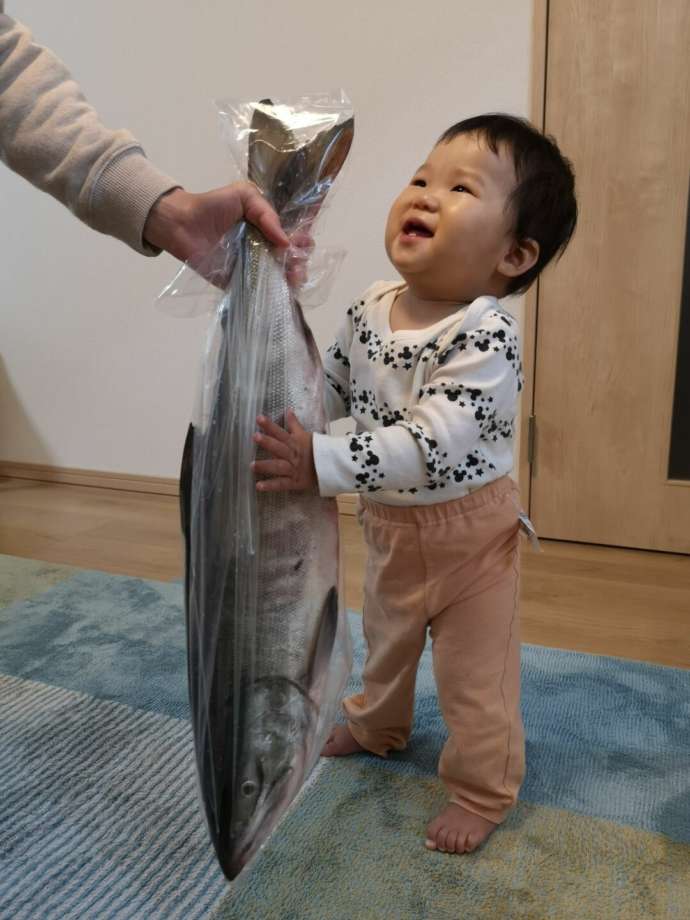 標津町の鮭の無料配布を受け取る幼児