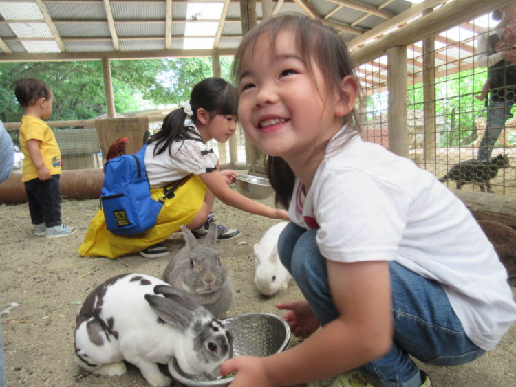 渋川動物公園のうさぎにエサをやる女の子
