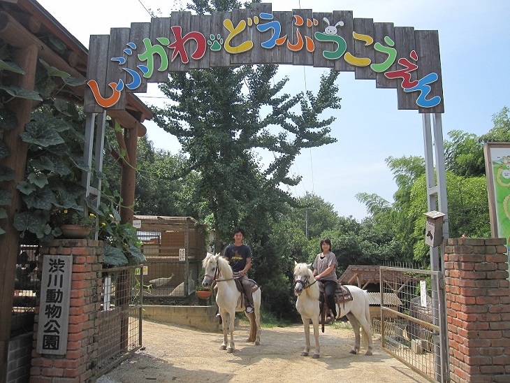 渋川動物公園で乗馬体験をする男女