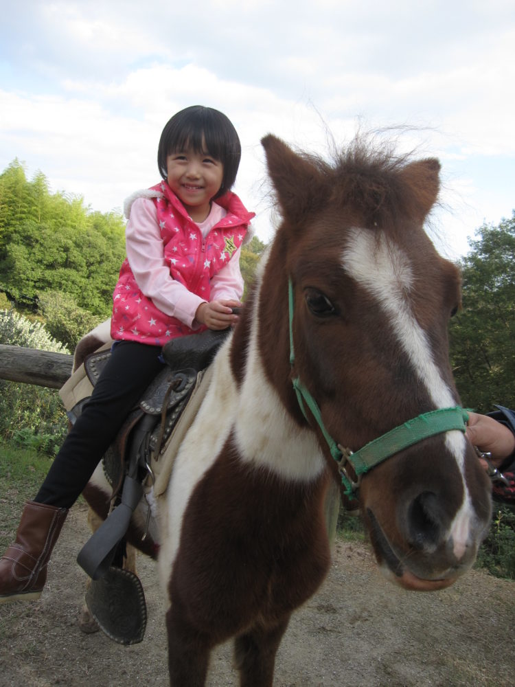 渋川動物公園で乗馬体験を楽しむ女の子