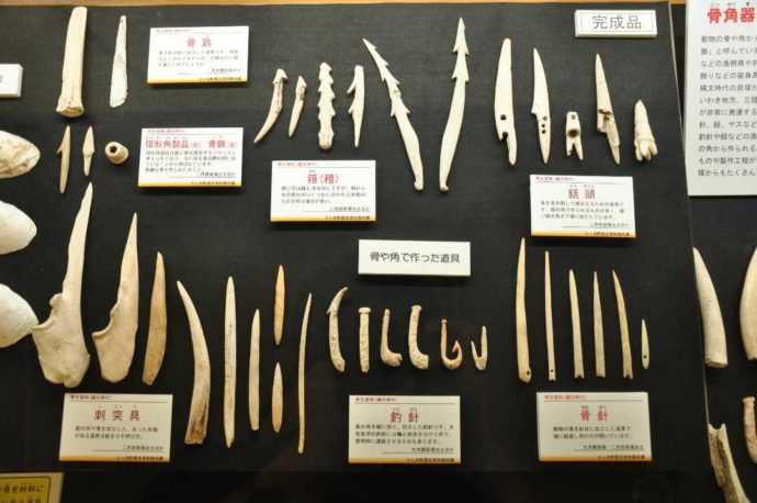 「七ケ浜町歴史資料館」に展示されている動物の骨や鹿角を加工した釣針や銛、針などの骨角器