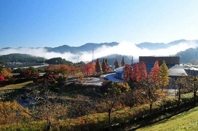 滋賀県立陶芸の森の全景