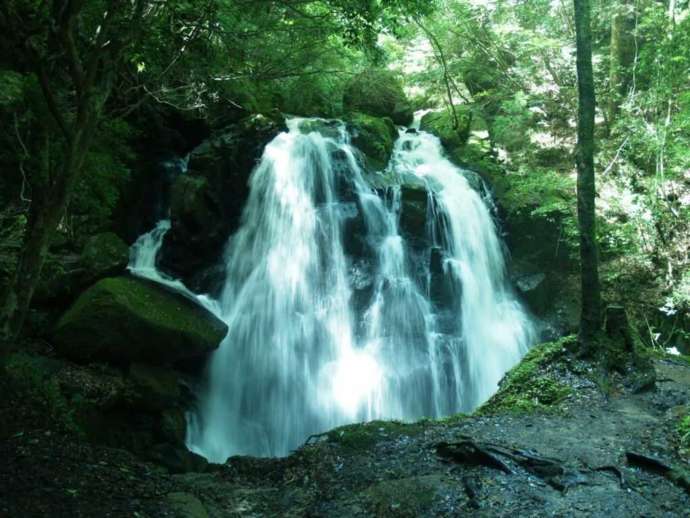鶏鳴の滝は鬱蒼とした森の中の美しい滝