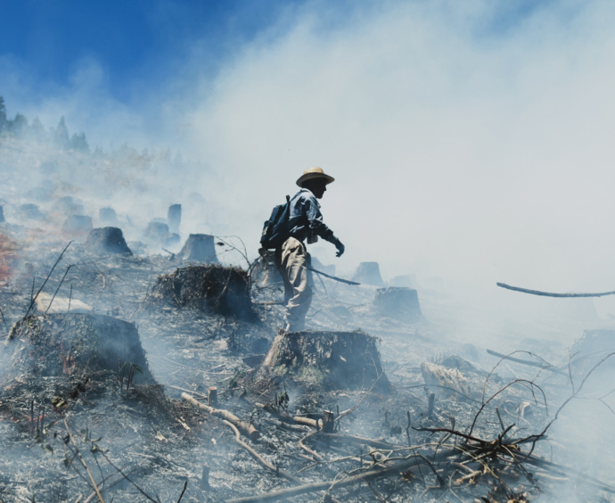 宮崎県椎葉村で継承される農業手法「焼畑」を行っている写真