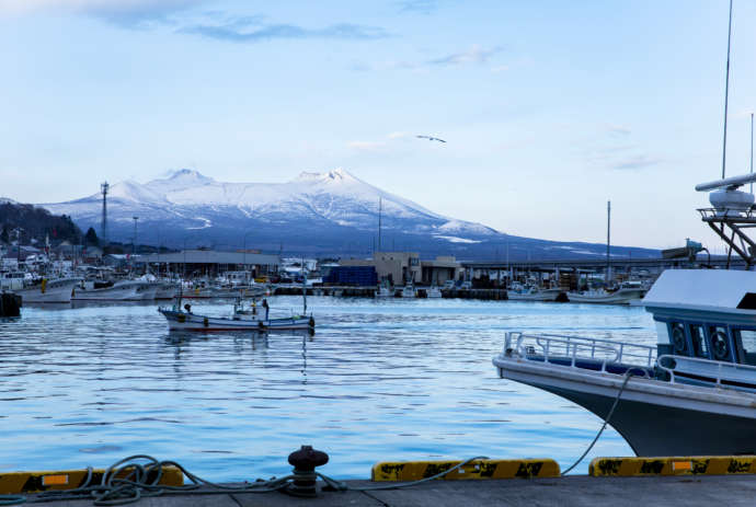 漁港と駒ヶ岳の写真