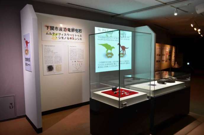 下関市立考古博物館に展示されている恐竜の卵化石