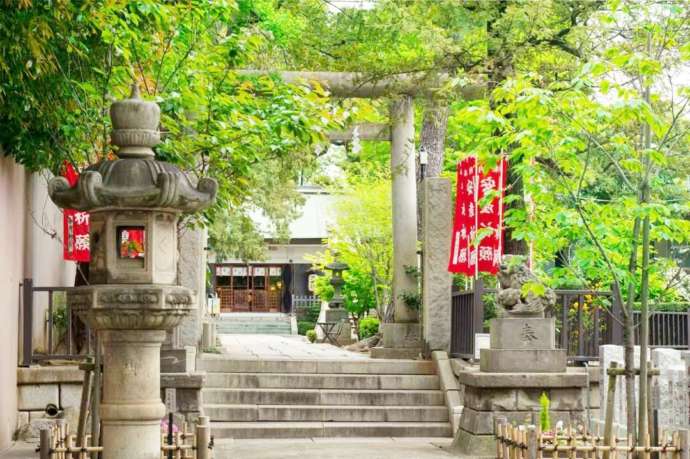 下神明天祖神社の緑あふれる境内の様子