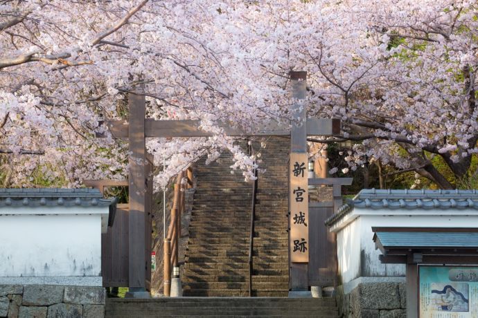 桜の季節の新宮城跡入り口